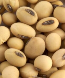 Crude And Refined Soybean Oil