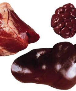 Grade A Frozen Beef Offals