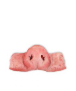 Grade A Frozen Pork Snout