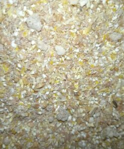 Corn Meal Corn Gluten meal Animal Feed